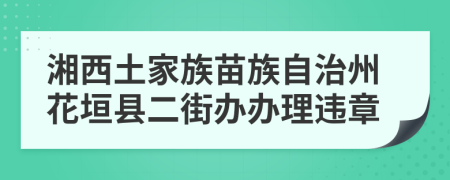 湘西土家族苗族自治州花垣县二街办办理违章