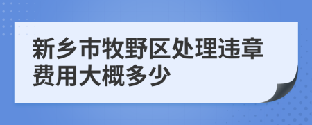 新乡市牧野区处理违章费用大概多少