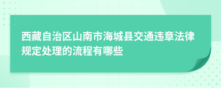 西藏自治区山南市海城县交通违章法律规定处理的流程有哪些