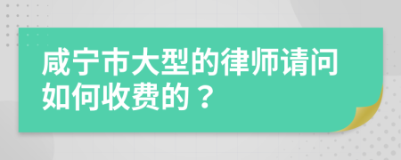 咸宁市大型的律师请问如何收费的？