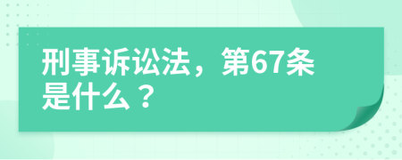 刑事诉讼法，第67条是什么？