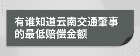 有谁知道云南交通肇事的最低赔偿金额