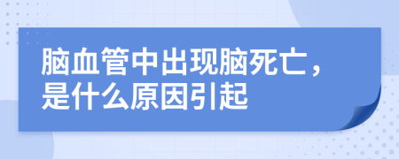 脑血管中出现脑死亡，是什么原因引起