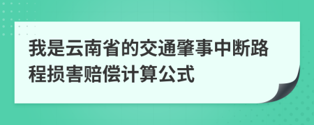 我是云南省的交通肇事中断路程损害赔偿计算公式