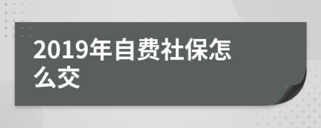 2019年自费社保怎么交