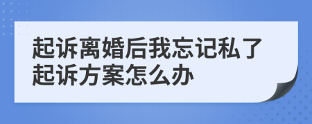 起诉离婚后我忘记私了起诉方案怎么办