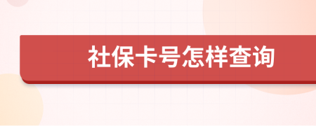 社保卡号怎样查询