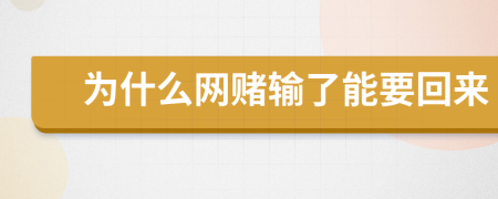 为什么网赌输了能要回来