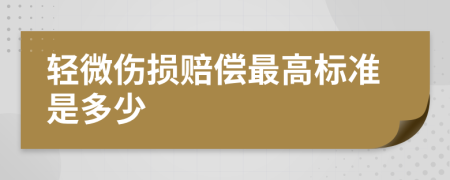 轻微伤损赔偿最高标准是多少