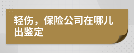 轻伤，保险公司在哪儿出鉴定