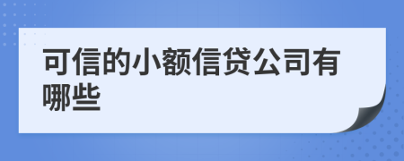 可信的小额信贷公司有哪些