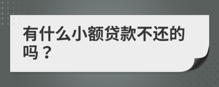 有什么小额贷款不还的吗？