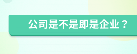 公司是不是即是企业？