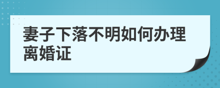 妻子下落不明如何办理离婚证