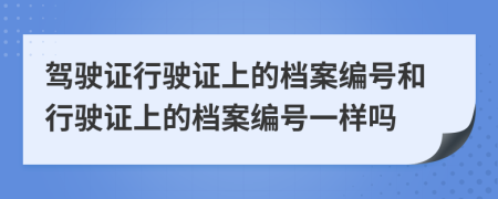 驾驶证行驶证上的档案编号和行驶证上的档案编号一样吗