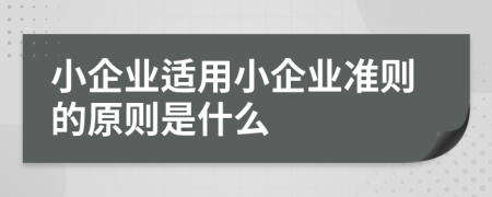 小企业适用小企业准则的原则是什么