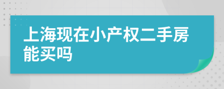 上海现在小产权二手房能买吗