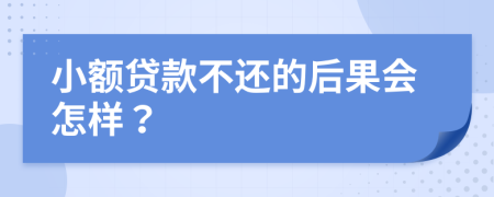小额贷款不还的后果会怎样？