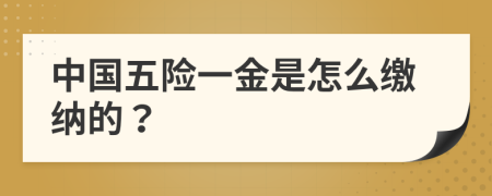 中国五险一金是怎么缴纳的？