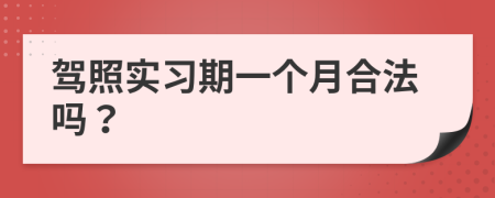 驾照实习期一个月合法吗？