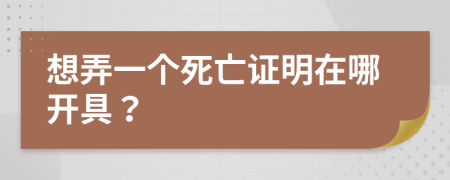 想弄一个死亡证明在哪开具？