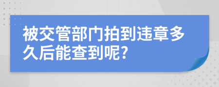 被交管部门拍到违章多久后能查到呢?