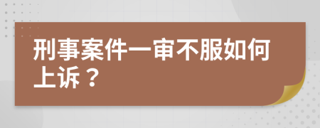 刑事案件一审不服如何上诉？