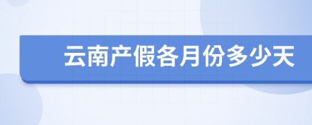 云南产假各月份多少天