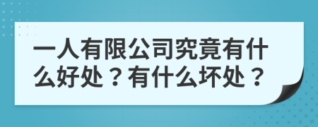 一人有限公司究竟有什么好处？有什么坏处？