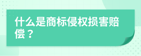 什么是商标侵权损害赔偿？