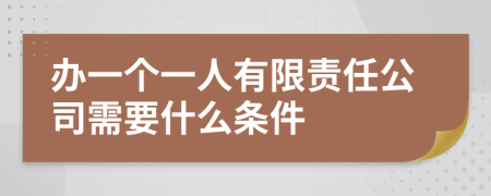 办一个一人有限责任公司需要什么条件