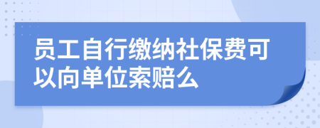 员工自行缴纳社保费可以向单位索赔么