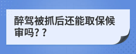 醉驾被抓后还能取保候审吗? ?