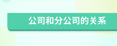 公司和分公司的关系