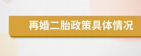 再婚二胎政策具体情况