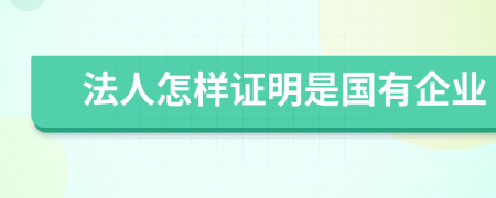 法人怎样证明是国有企业