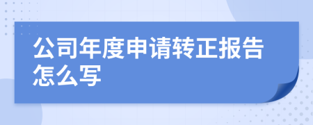 公司年度申请转正报告怎么写