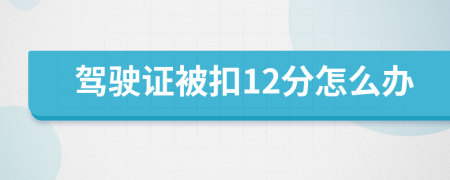 驾驶证被扣12分怎么办