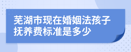 芜湖市现在婚姻法孩子抚养费标准是多少