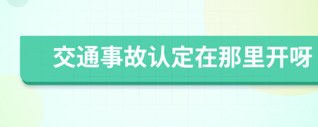 交通事故认定在那里开呀