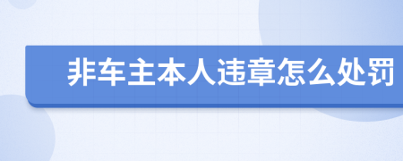 非车主本人违章怎么处罚