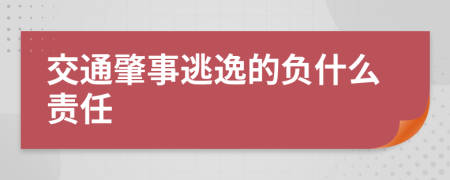 交通肇事逃逸的负什么责任