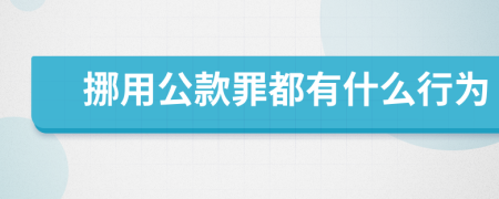 挪用公款罪都有什么行为