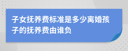 子女抚养费标准是多少离婚孩子的抚养费由谁负