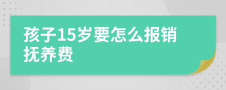 孩子15岁要怎么报销抚养费