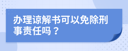 办理谅解书可以免除刑事责任吗？