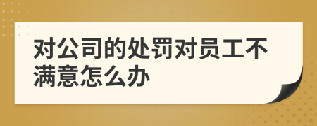 对公司的处罚对员工不满意怎么办