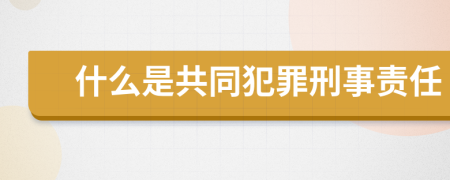 什么是共同犯罪刑事责任