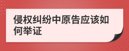 侵权纠纷中原告应该如何举证