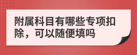 附属科目有哪些专项扣除，可以随便填吗
